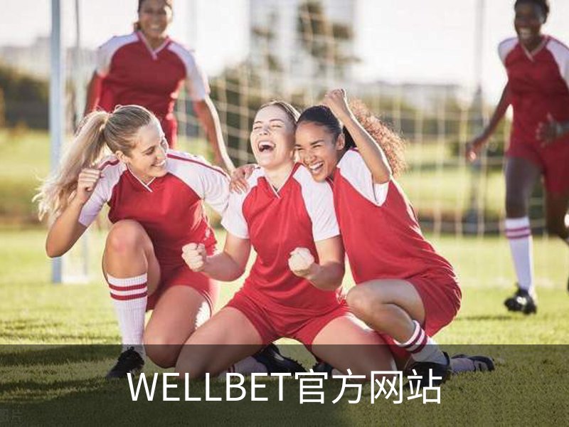 WELLBET官方网站简介